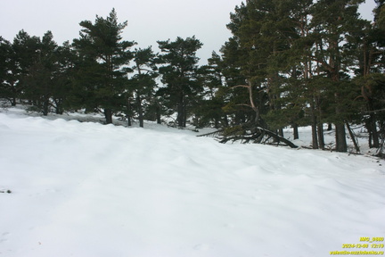 Никитская яйла