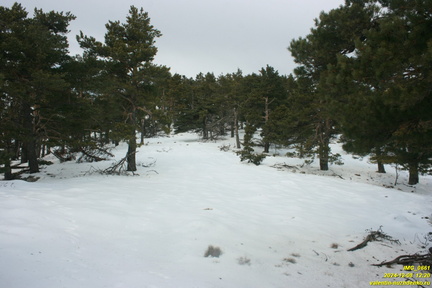 Никитская яйла