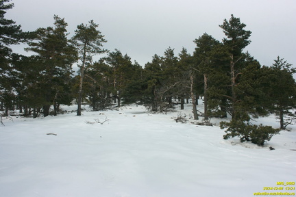 Никитская яйла