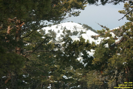 Никитская яйла