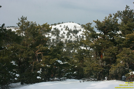 Никитская яйла