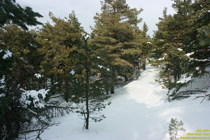 Никитская яйла