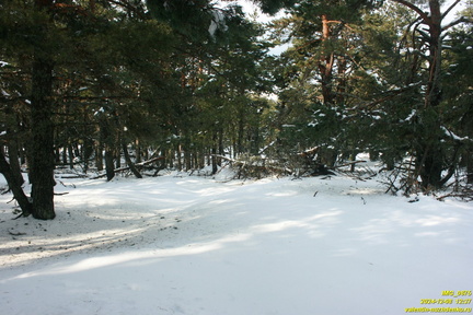 Никитская яйла