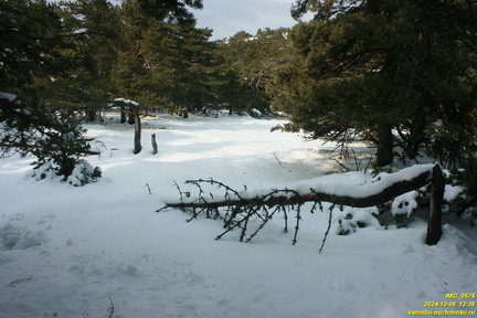 Никитская яйла