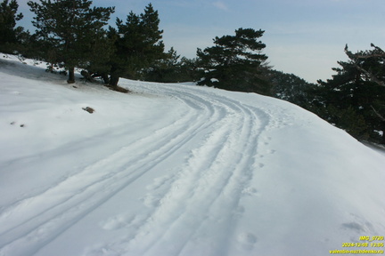 Никитская яйла