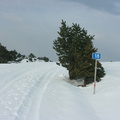 Никитская яйла