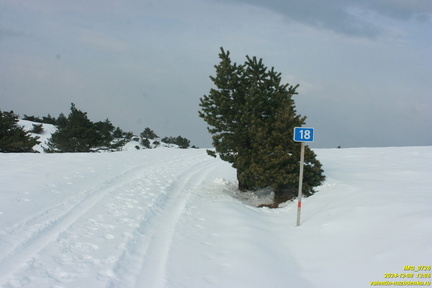 Никитская яйла