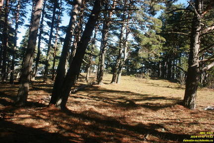 Никитская яйла