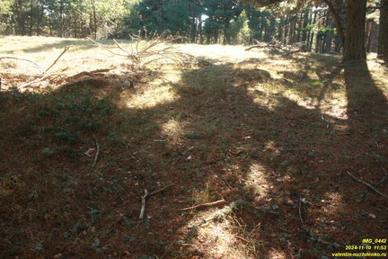 Никитская яйла