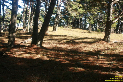 Никитская яйла