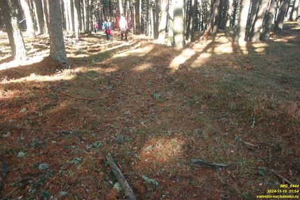 Никитская яйла