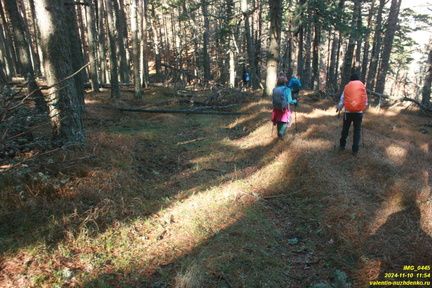 Никитская яйла