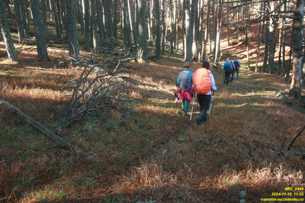 Никитская яйла