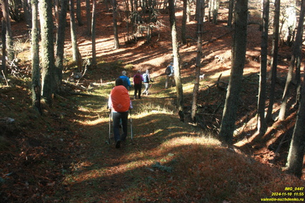 Никитская яйла