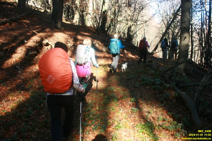 Никитская яйла