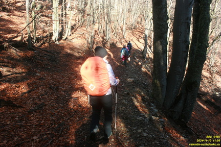 Никитская яйла