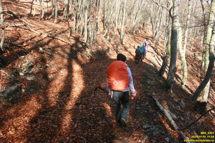 Никитская яйла