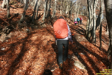 Никитская яйла