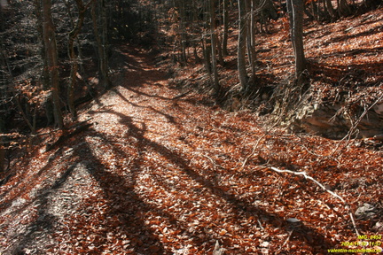 Никитская яйла