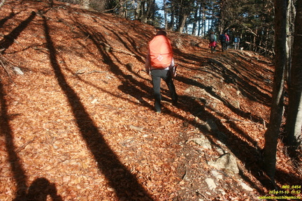 Никитская яйла