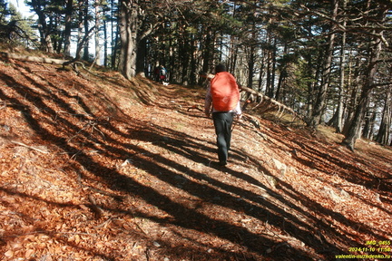 Никитская яйла