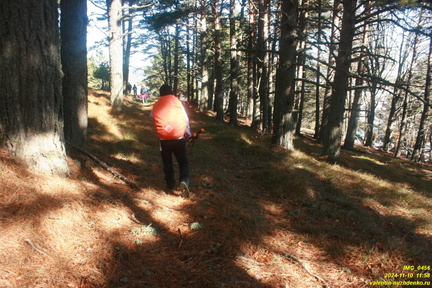 Никитская яйла