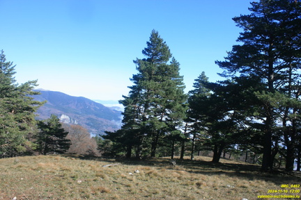 Никитская яйла