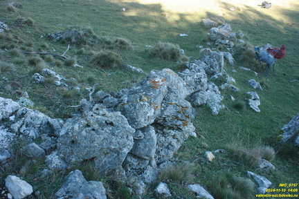 Никитская яйла