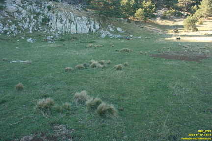 Никитская яйла