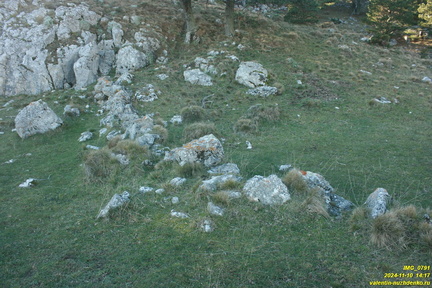 Никитская яйла