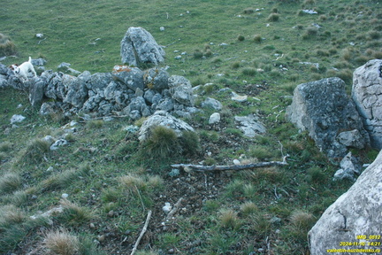 Никитская яйла