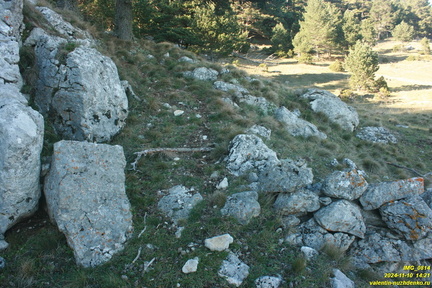 Никитская яйла