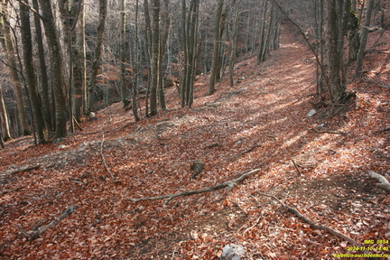 Никитская яйла