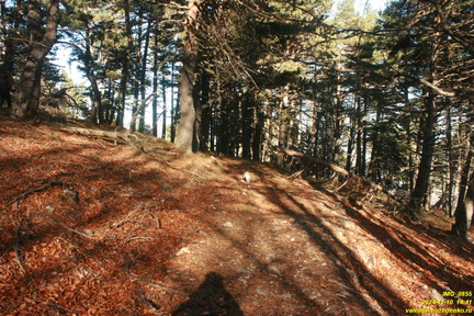 Никитская яйла