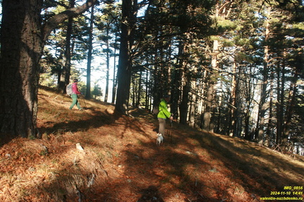 Никитская яйла