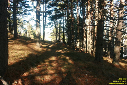 Никитская яйла