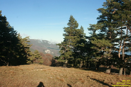 Никитская яйла
