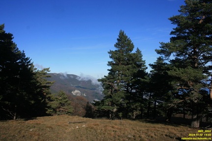 Никитская яйла