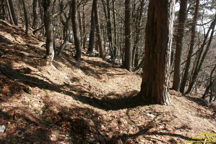 Никитская яйла
