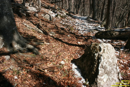 Никитская яйла