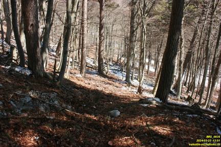 Никитская яйла