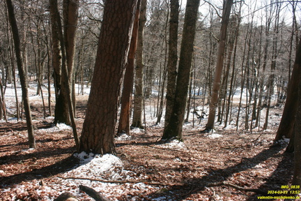 Никитская яйла