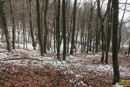 Никитская яйла