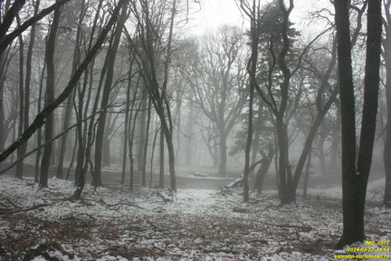 Никитская яйла