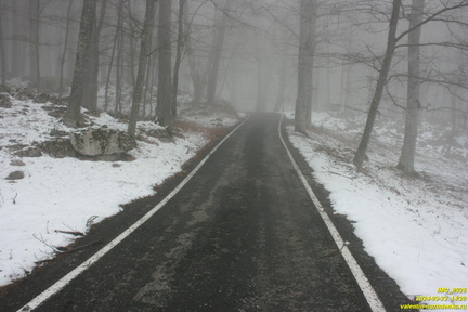 Никитская яйла