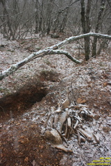 Кымыр-Кая