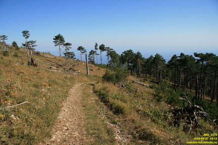 Никитская яйла