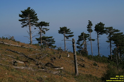 Никитская яйла