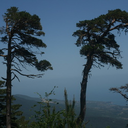 2012