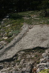 Никитская яйла